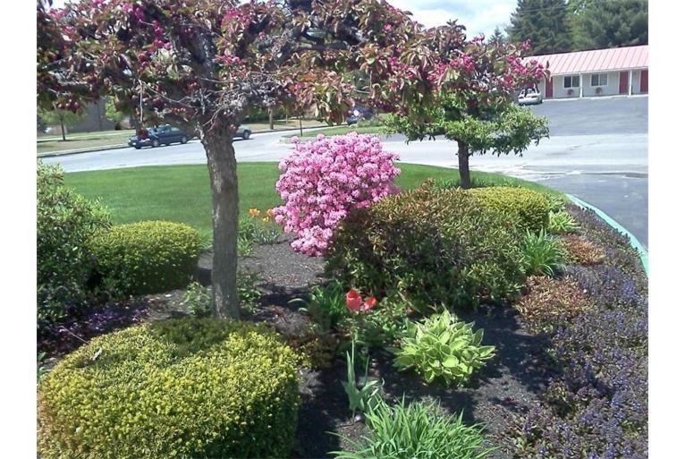 Belmont Motel Skowhegan Extérieur photo